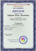 Диплом за II место во Всероссийском конкурсе методически разработок  на сайте " Воспитатель.ру".